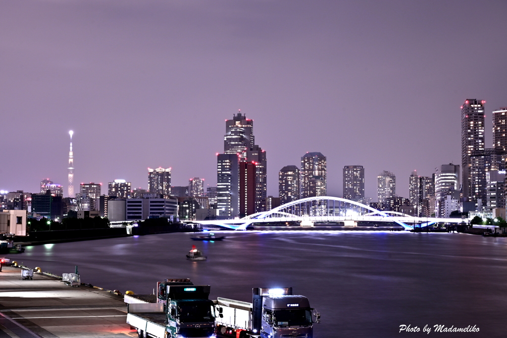 夜景 築地大橋