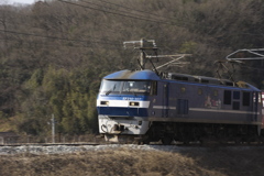 新桃太郎が行く