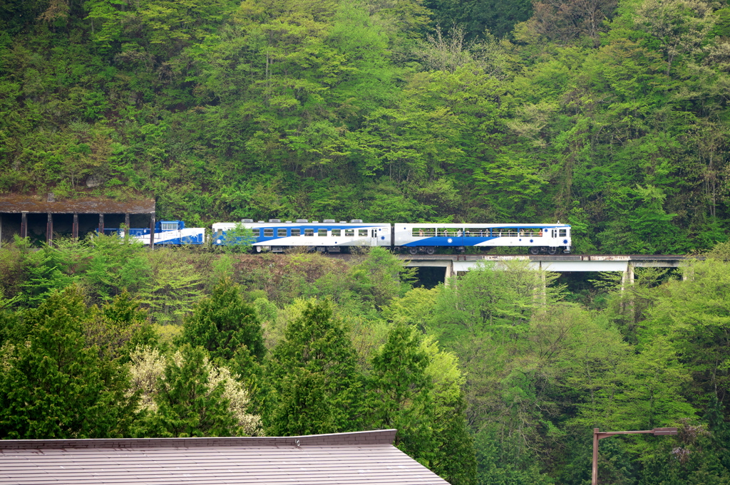 奥出雲オロチトロッコ列車