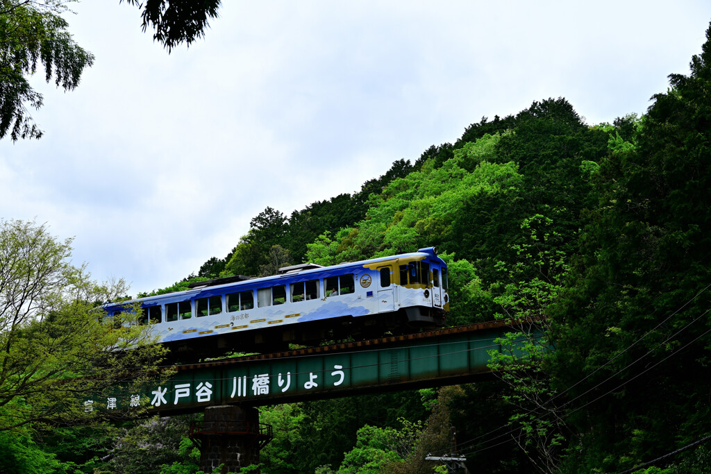 海の京都号