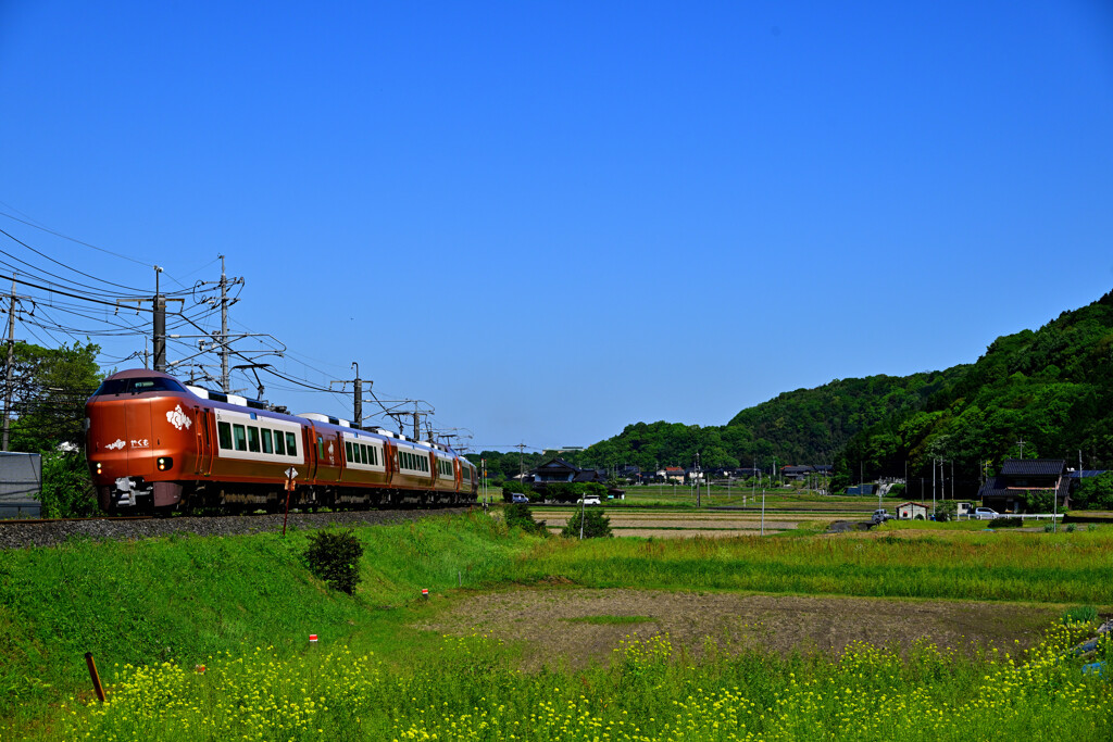 ゴールデンウイークinやくも