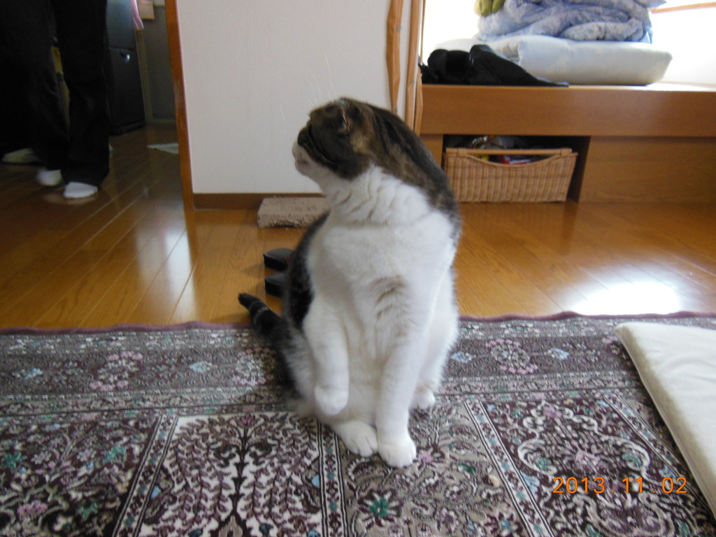 DSCN0379