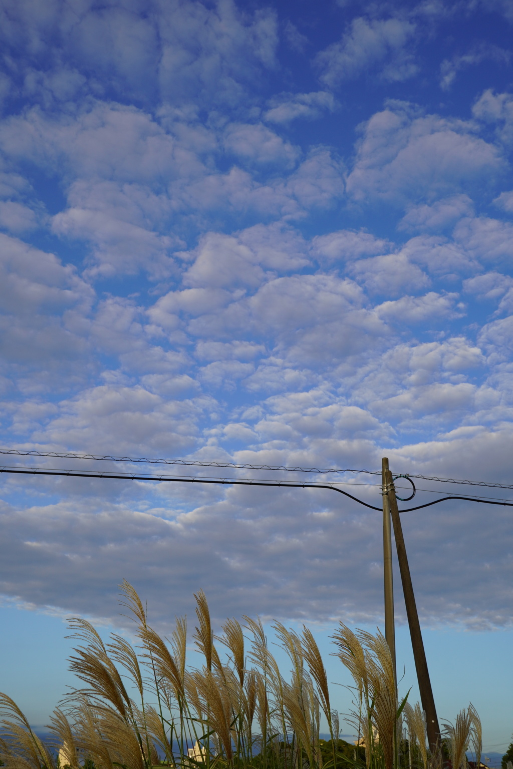 秋の空 その２