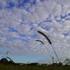 秋の空 その１