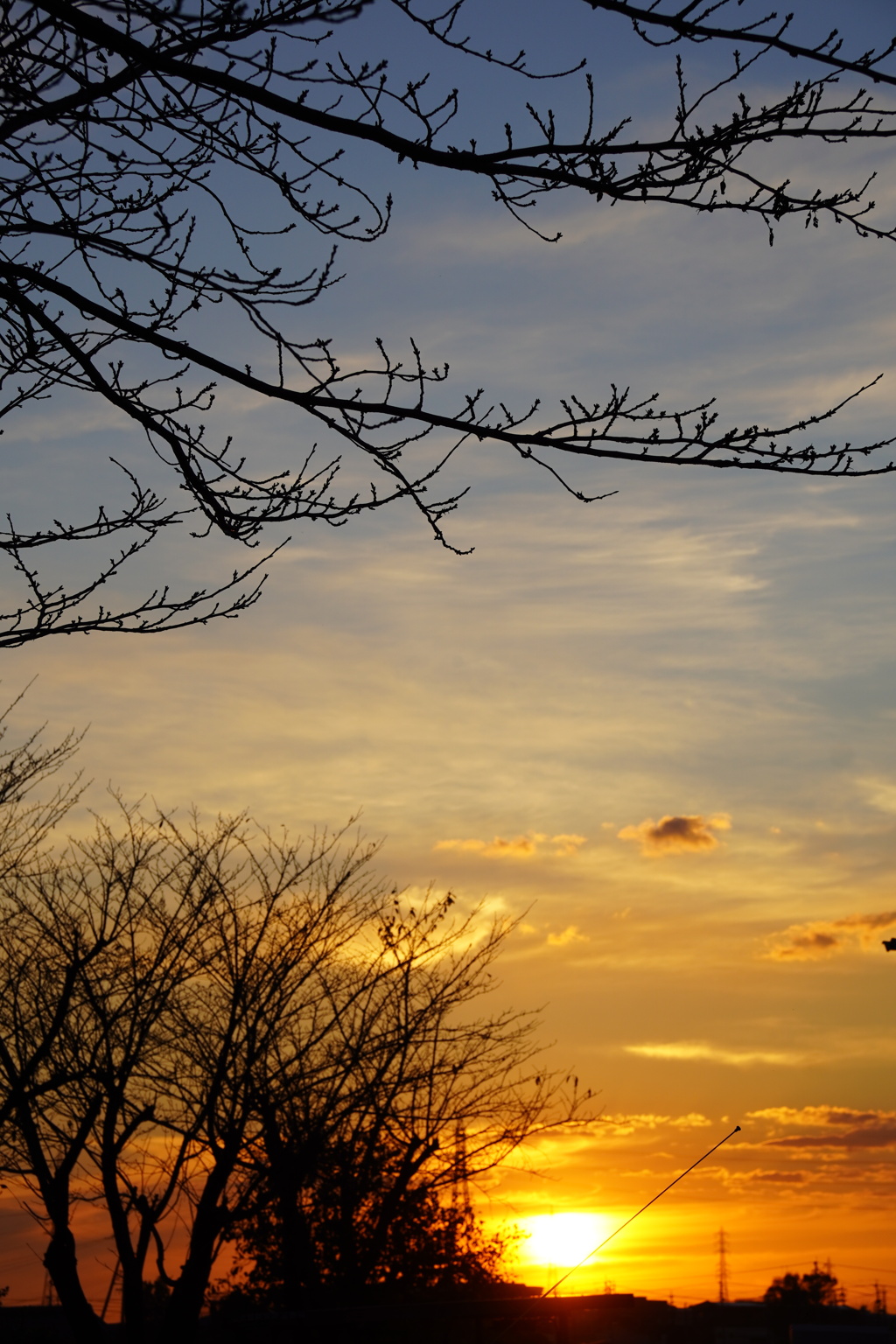 今日の夕日 その２