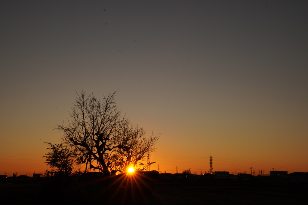 今日の夕日