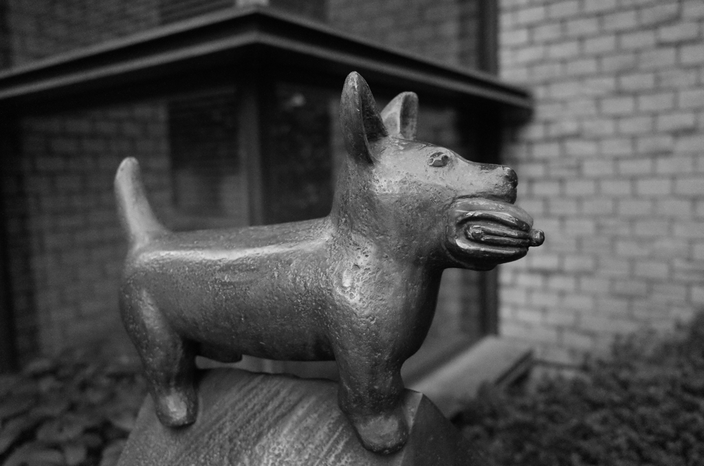 犬