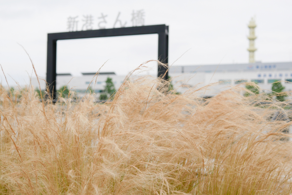 横浜