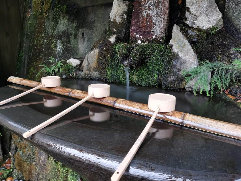 水