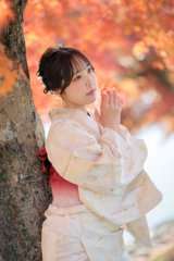 着物 × 紅葉