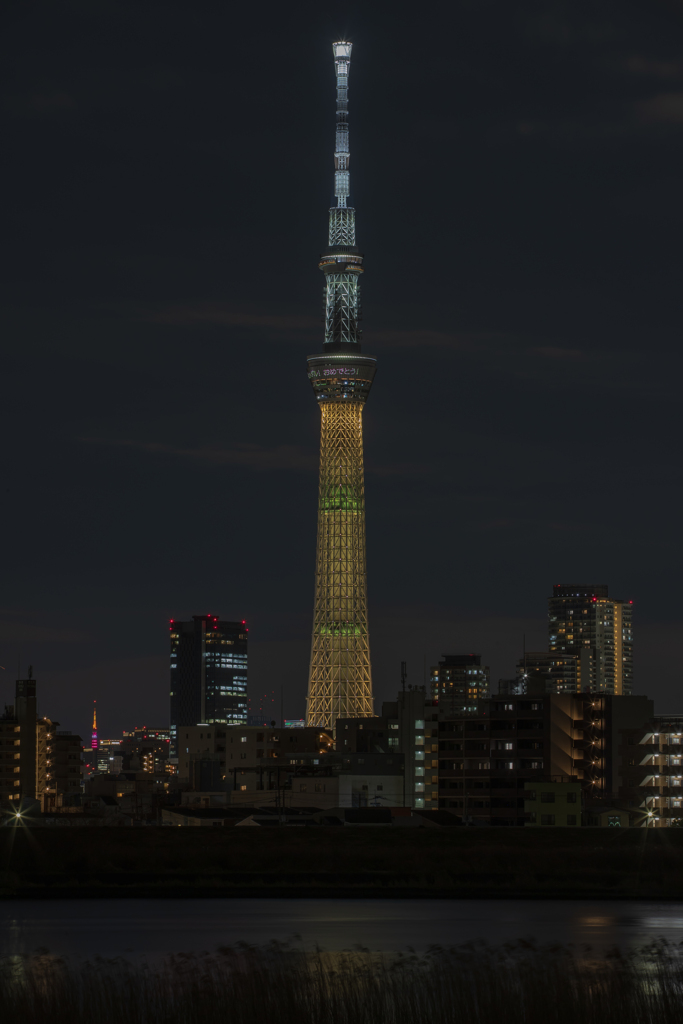 金メダル