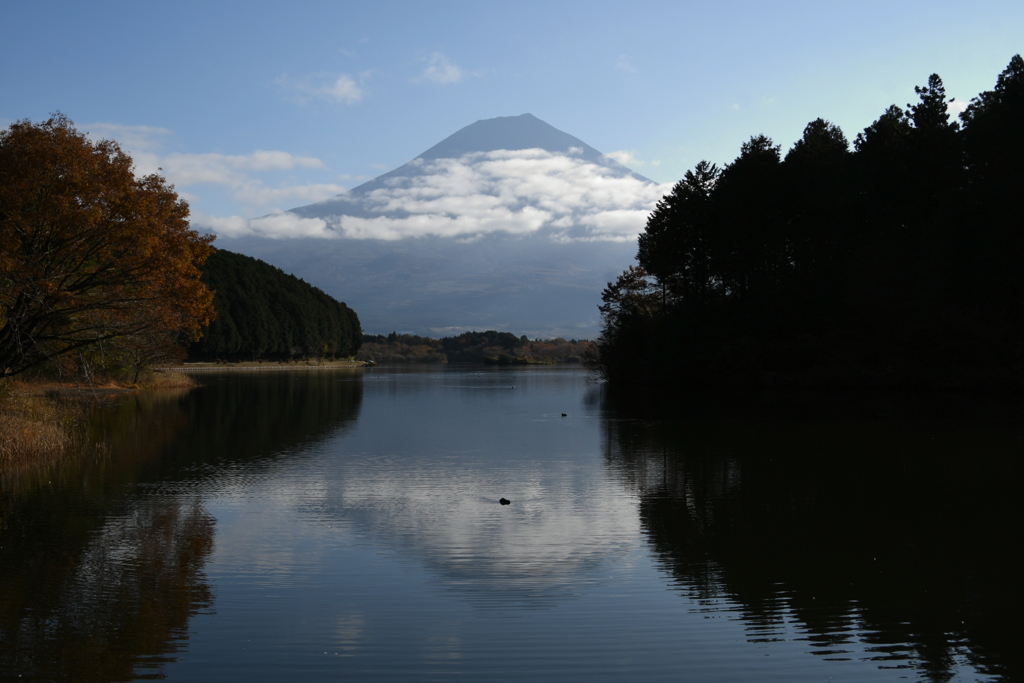 逆さ富士（田貫湖）