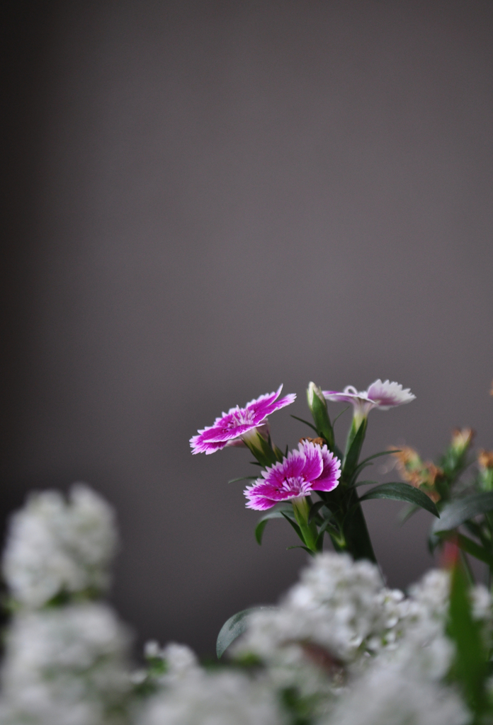 花