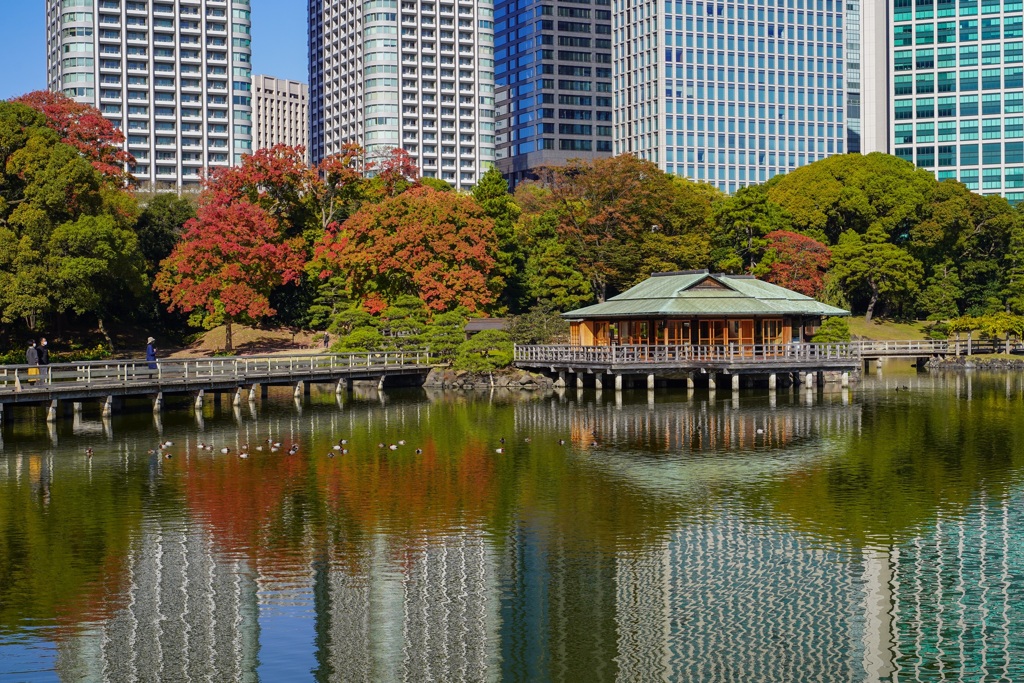 浜離宮恩賜庭園