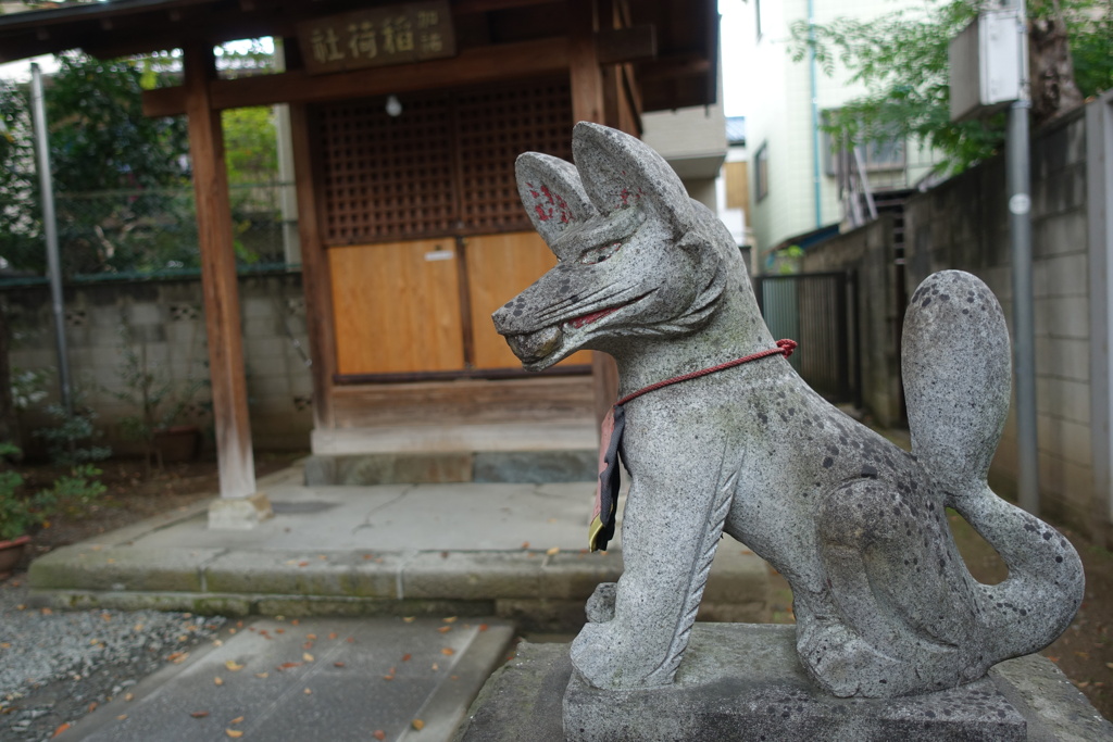 小江戸川越5