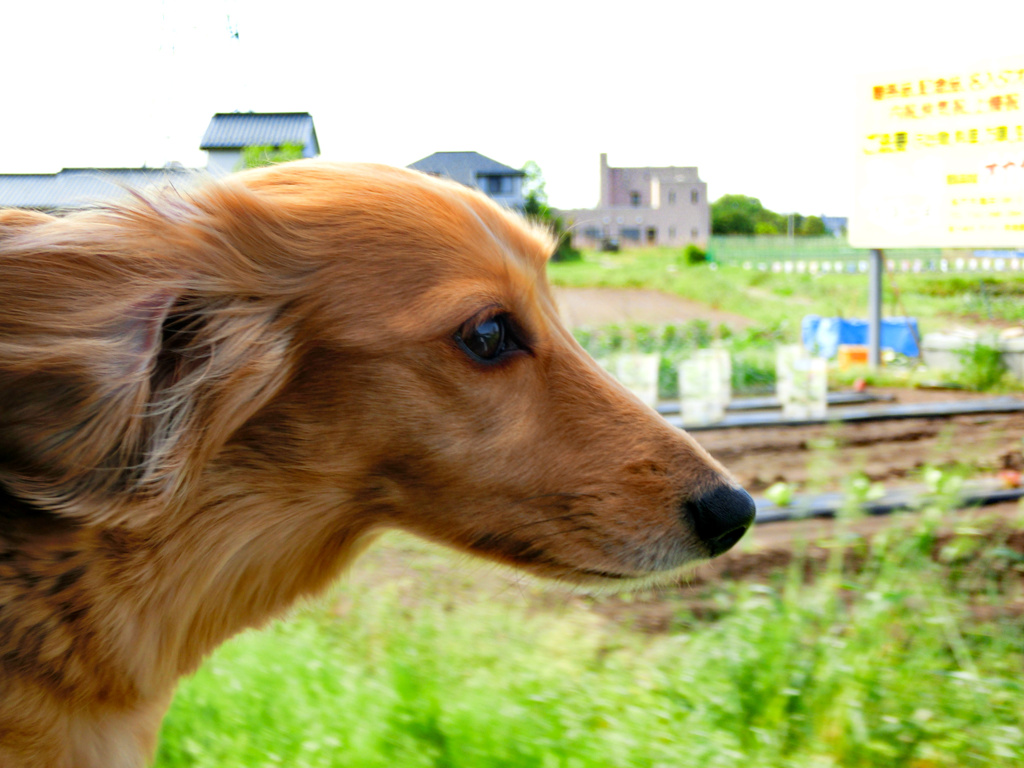 メモリーズ（2012）埼玉県、石尊山登山1