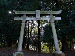 埼玉県鶴ヶ島市　高徳神社1