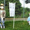 嫁に来ないか～。