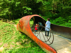 埼玉県飯能市 あけぼの子どもの森公園 2