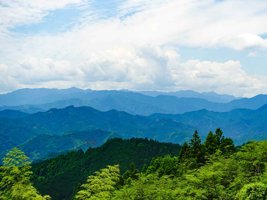 埼玉県奥武蔵グリーンラインからの展望