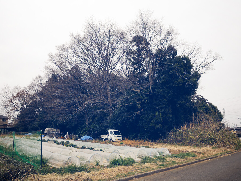 川越小景 36
