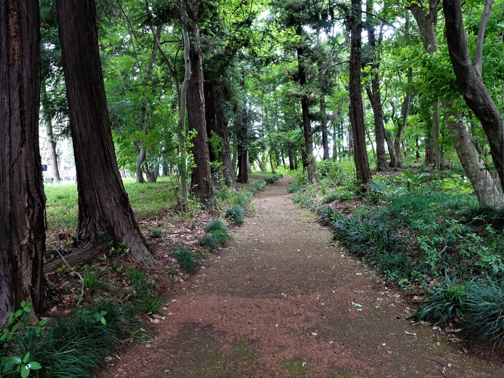 鎌倉道 2