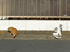 2021年元旦　2匹の猫の物語1