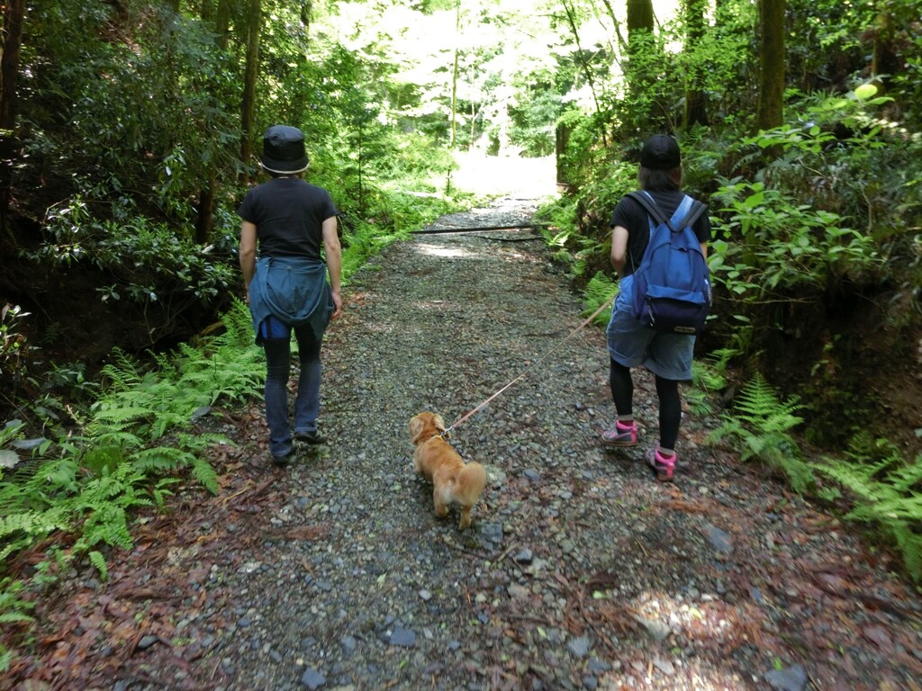 メモリーズ（2012）埼玉県、石尊山登山3