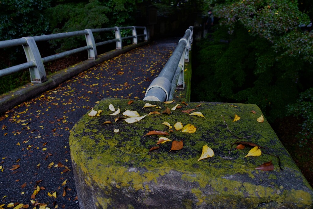 小江戸川越 32