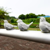 キャラクター5　こんにちは鳥井でございます。