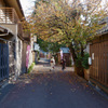 小江戸川越14