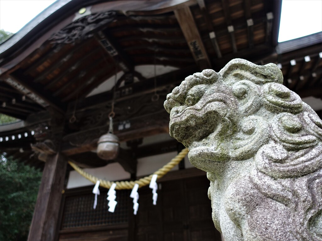 埼玉県鶴ヶ島市　高徳神社2