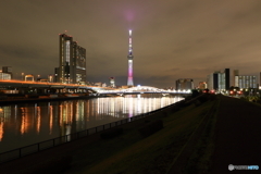隅田川の夜
