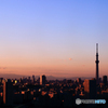 Tokyo twilight view（1/4）