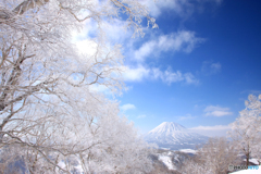 霧氷と羊蹄山