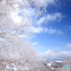 霧氷と羊蹄山