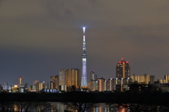 自転車で見つけた風景～荒川越しのスカイツリー