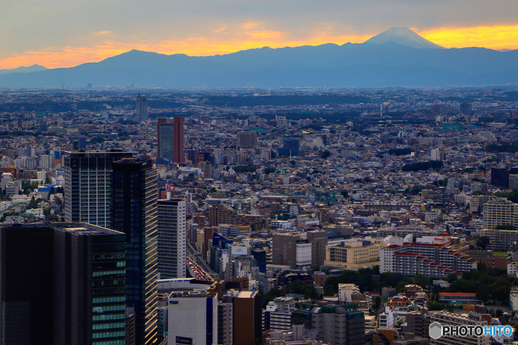 大都会と富士山（1/5）