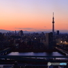 Tokyo twilight view（2/4）