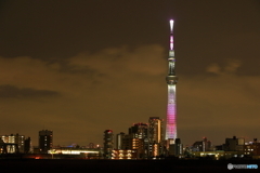 TOKYO SKYTREE 2021/03/07（2/2）