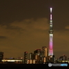 TOKYO SKYTREE 2021/03/07（2/2）