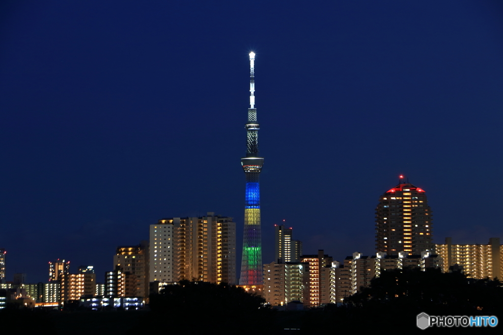 TOKYO2020 COLOR