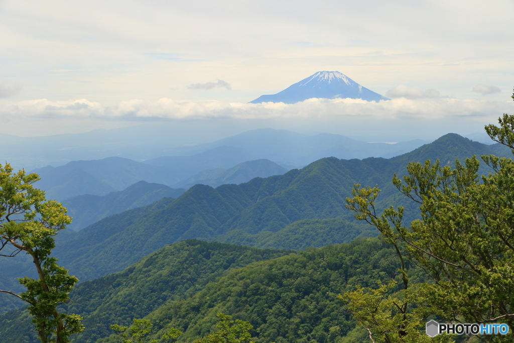 丹沢山から
