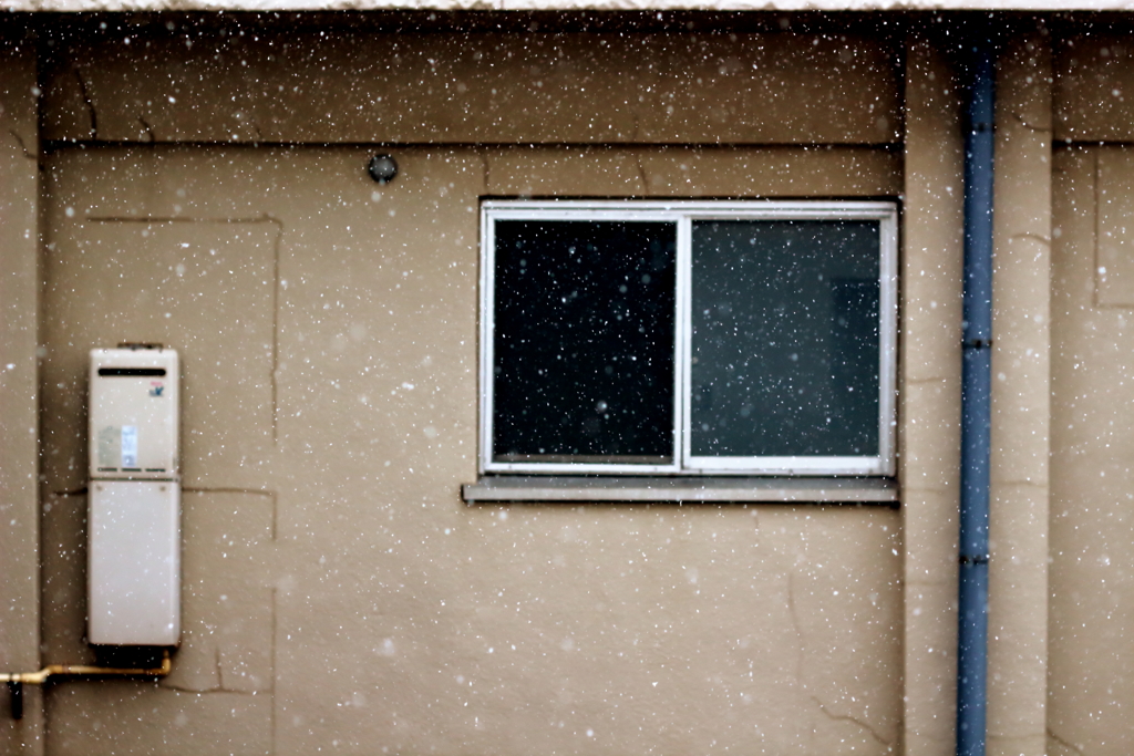 初雪
