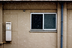 初雪