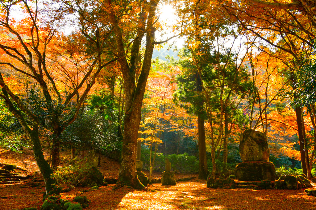 高源寺