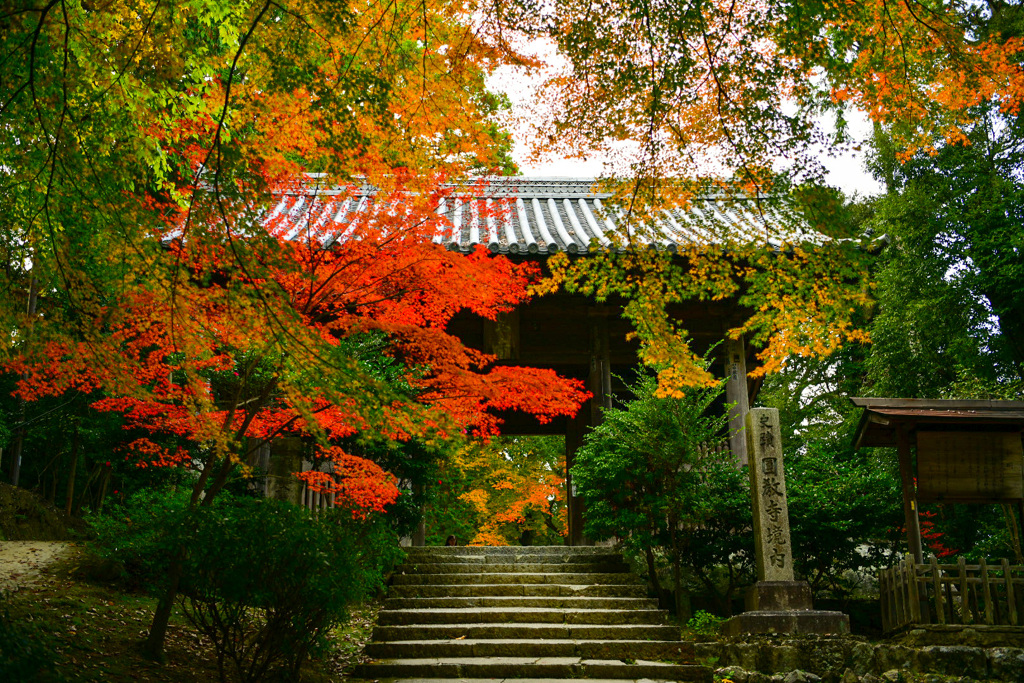 圓教寺