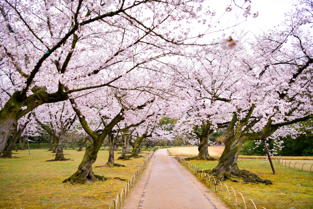 岡山後楽園