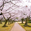 岡山後楽園