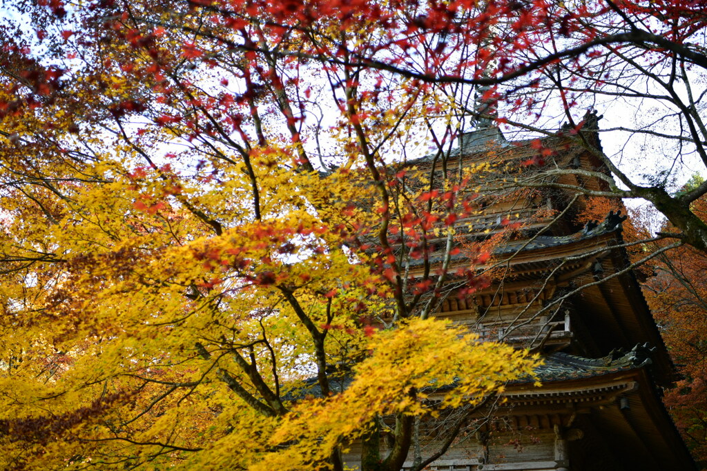 高源寺